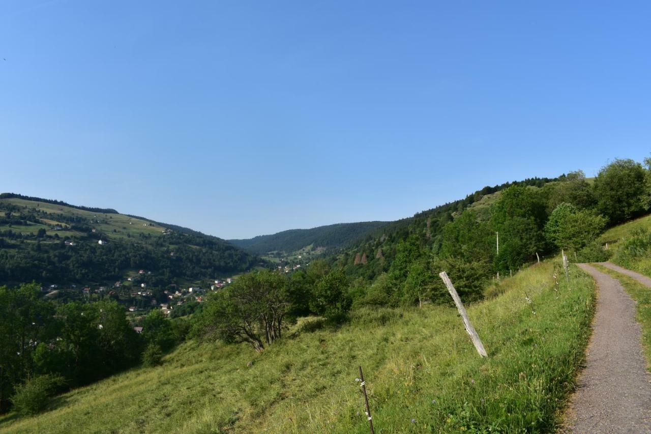 Gites De Moyenmont Ла-Бресс Екстер'єр фото